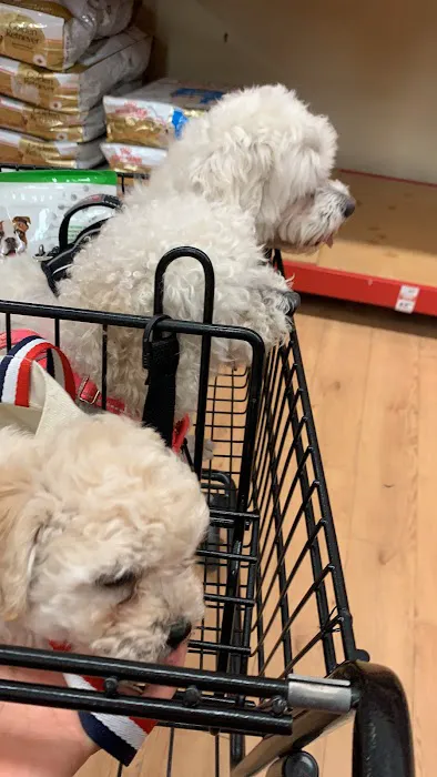 Petco 12