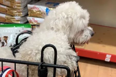 Petco