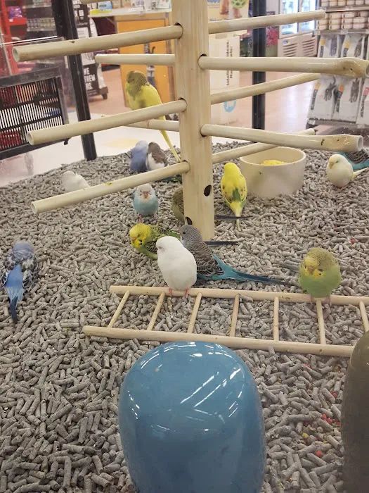 Petco 12