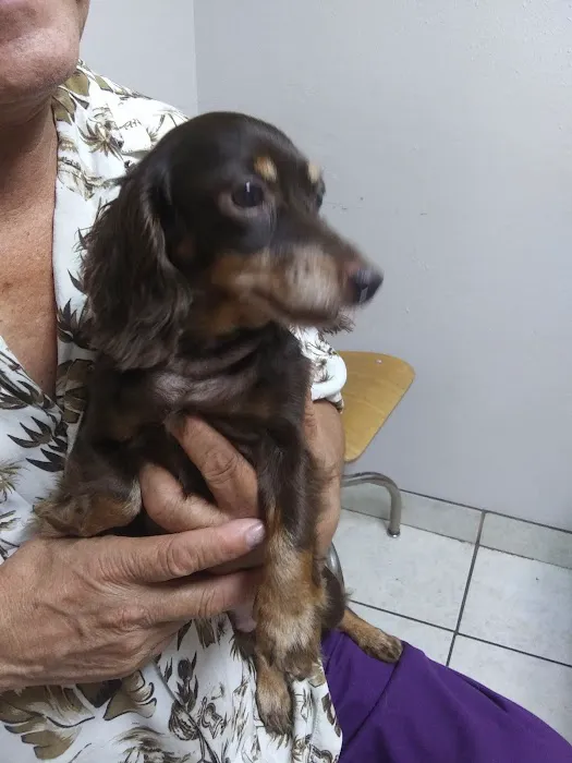 Rigsby Veterinary Clinic 12