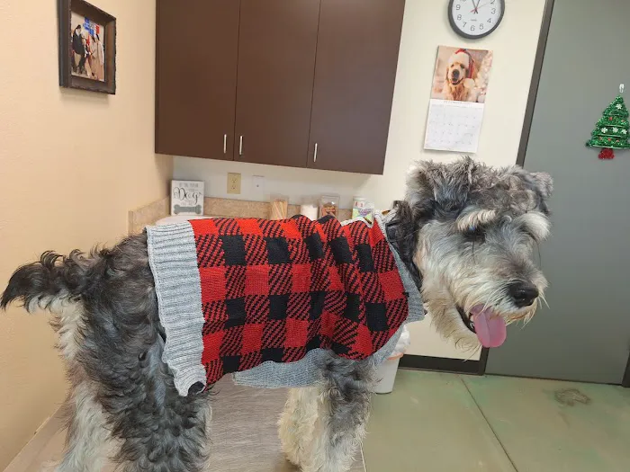 China Grove Veterinary Clinic 12