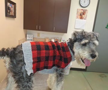 China Grove Veterinary Clinic