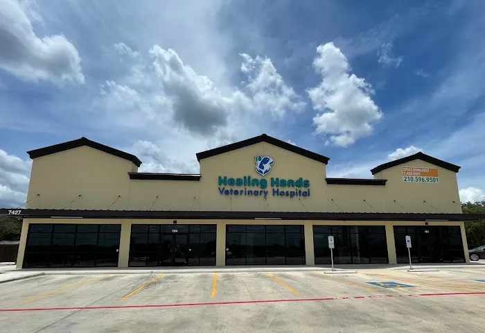 Healing Hands Veterinary Hospital 12