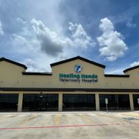 Healing Hands Veterinary Hospital ico