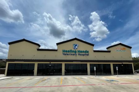 Healing Hands Veterinary Hospital
