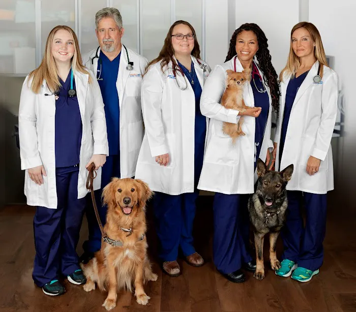 MissionVet Specialty & Emergency 12