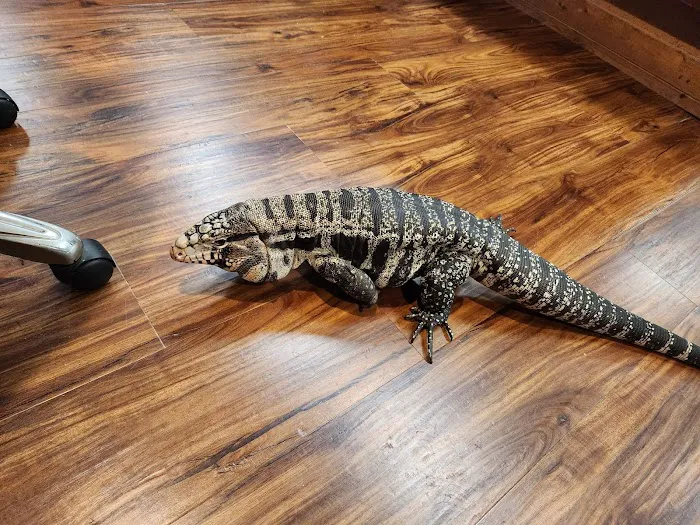 Michelle’s Pet Center 12