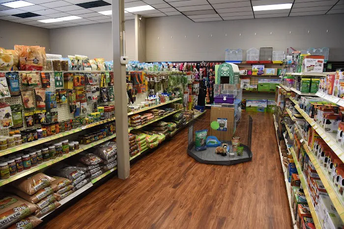 Michelle’s Pet Center 12
