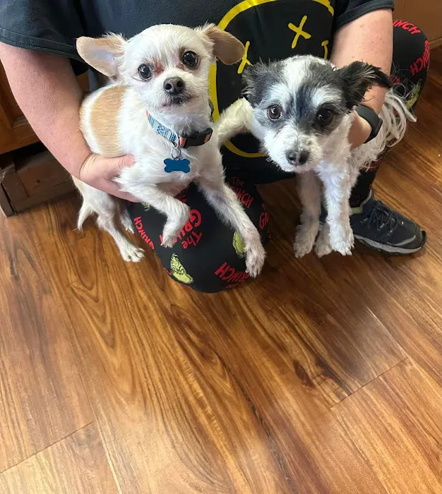 Michelle’s Pet Center 12