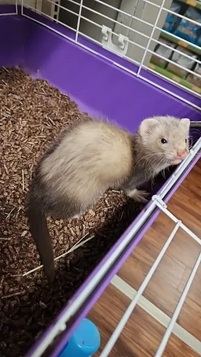 Michelle’s Pet Center 12