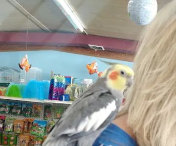 Animal World Adventures