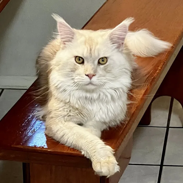 Banfield Pet Hospital 12