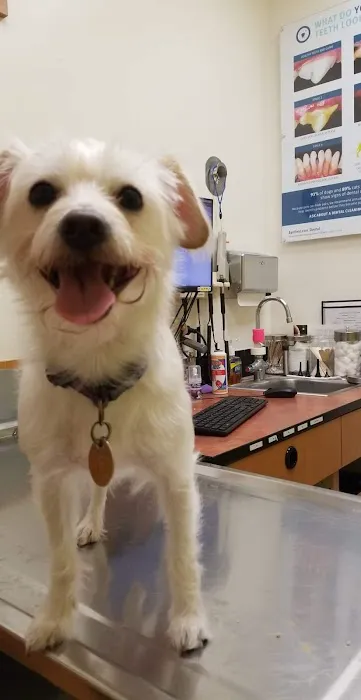 Banfield Pet Hospital 12