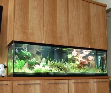 Aquamoon North Aquarium Maintenance