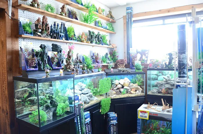 Terry's Aquarium & Pet Center 1
