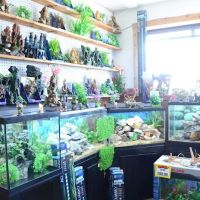 Terry's Aquarium & Pet Center ico