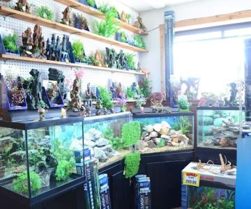 Terry's Aquarium & Pet Center