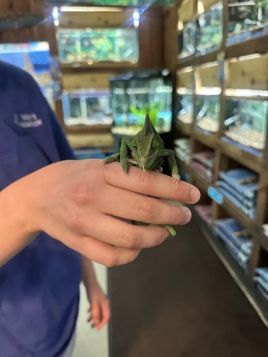 Terry's Aquarium & Pet Center 6
