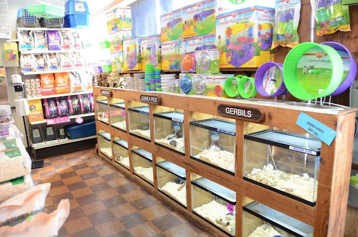 Terry's Aquarium & Pet Center 2