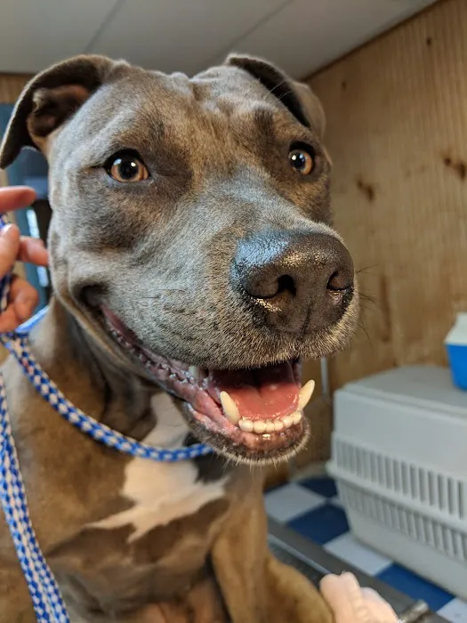 McCrory Animal Clinic 12
