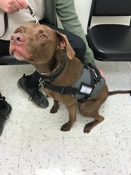 Lake Guntersville Veterinary Services 12