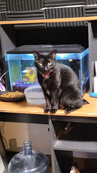 Spring Creek Animal Clinic 12