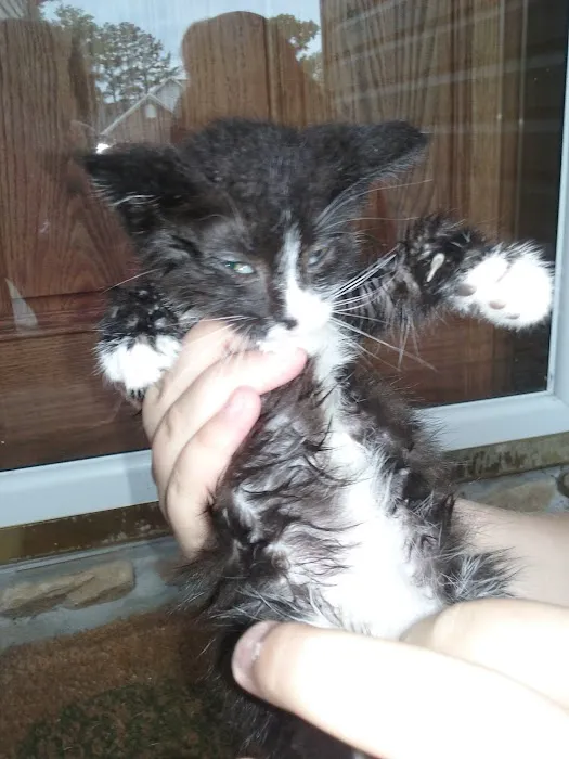 Spring Creek Animal Clinic 12