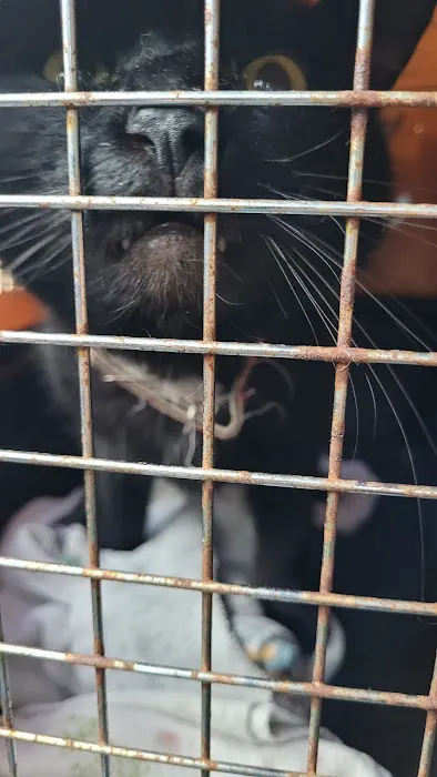 Spring Creek Animal Clinic 12