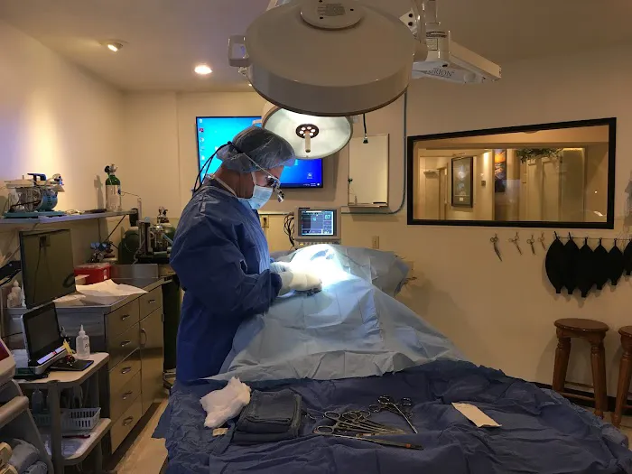 Guntersville Animal Hospital & Surgery Center 12