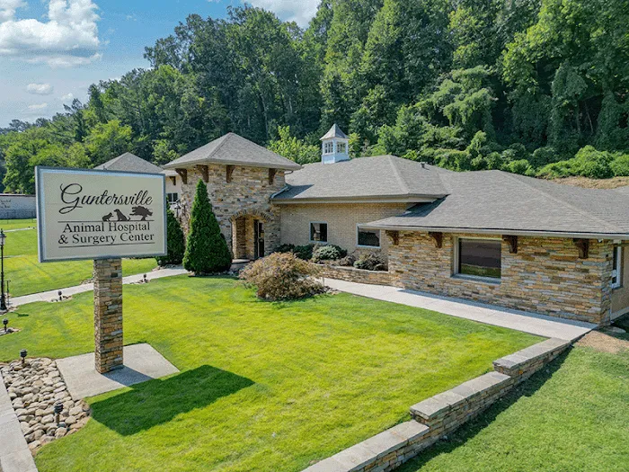 Guntersville Animal Hospital & Surgery Center 12
