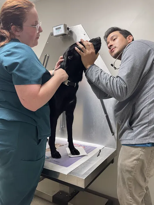 Branchville Animal Hospital: Bean R A DVM 12