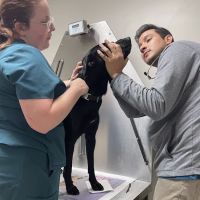 Branchville Animal Hospital: Bean R A DVM ico