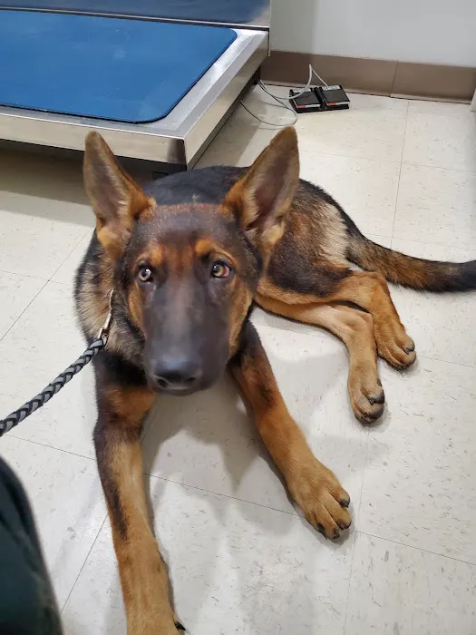 St. Clair Animal Care 12