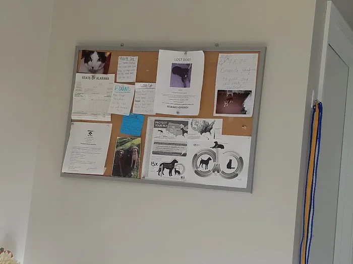 St. Clair Animal Care 12
