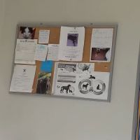 St. Clair Animal Care ico