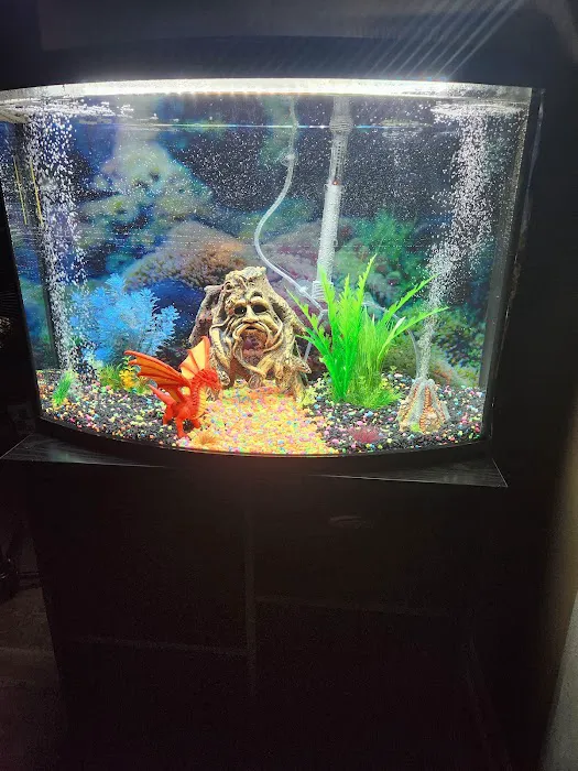 Badgerland Saltwater 12