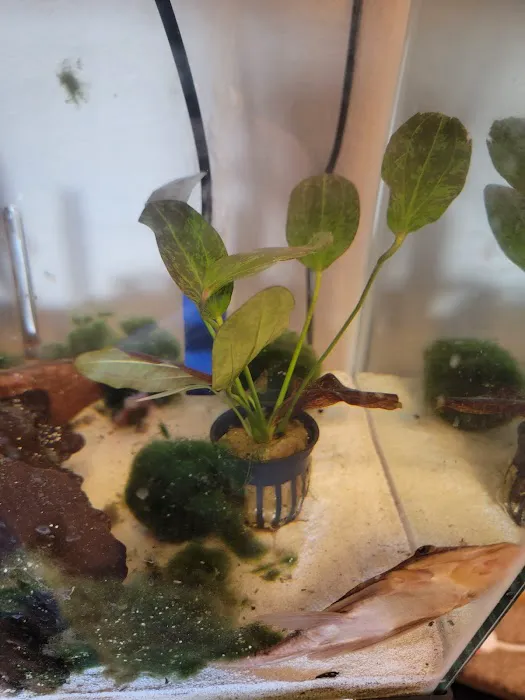 Badgerland Saltwater 12
