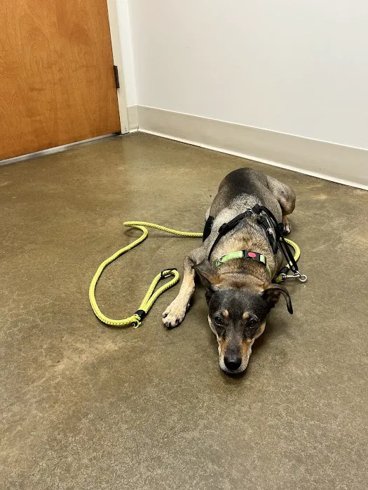 Crossroads Animal Hospital 12