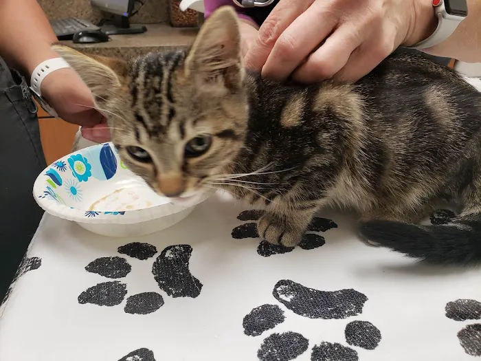 Crossroads Animal Hospital 12