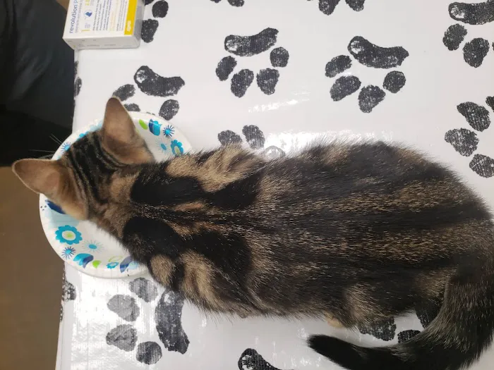 Crossroads Animal Hospital 12