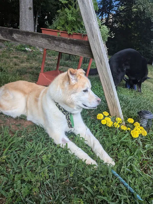 NewDay Veterinary Care 5