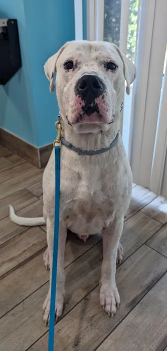 NewDay Veterinary Care 6