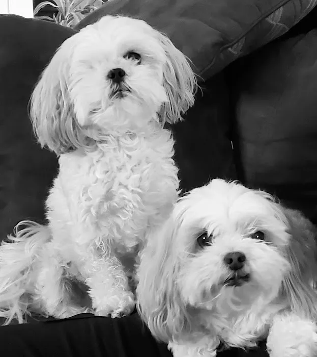 Banfield Pet Hospital 1