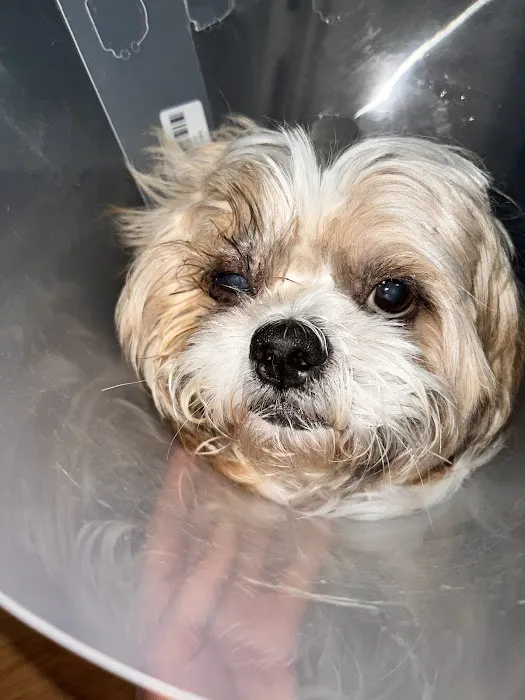 Banfield Pet Hospital 2