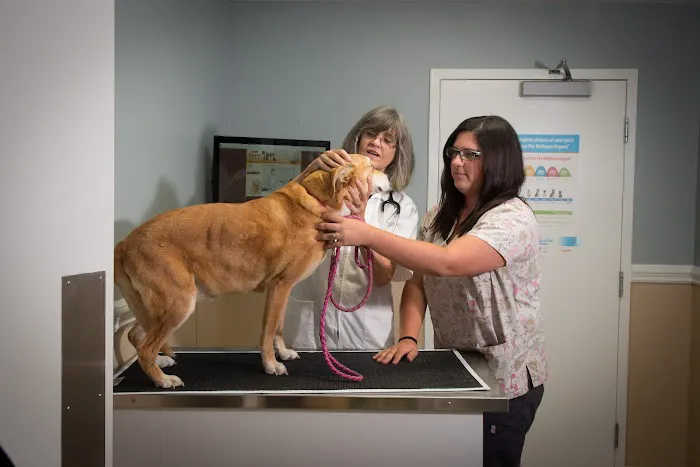Foster Animal Hospital, P.A. 10