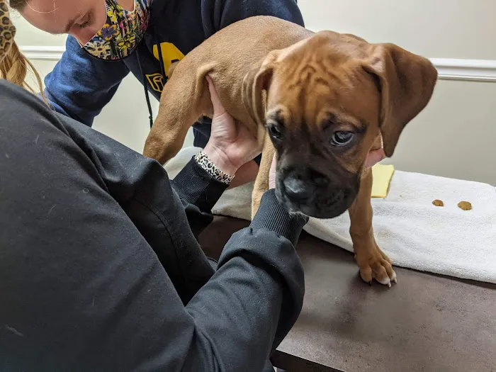 Concord Parkway Animal Hospital 4