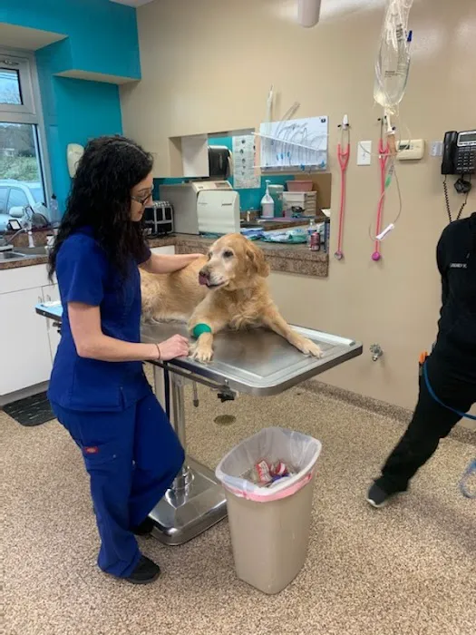 Cabarrus Animal Hospital 9