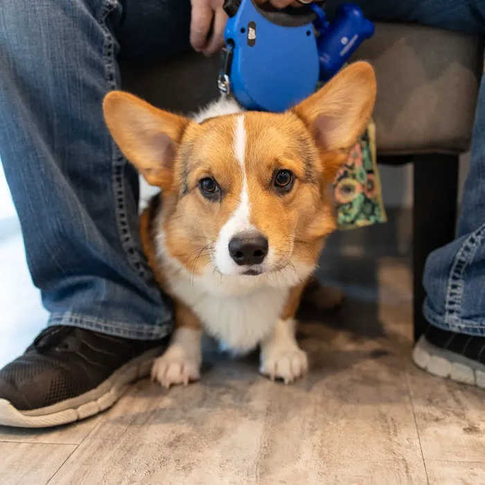 Cabarrus Animal Hospital 7