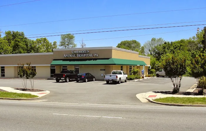 Cabarrus Animal Hospital 4