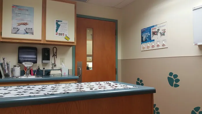 Banfield Pet Hospital 5
